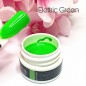 Gel nail art verde neon - Elettric Green