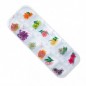 Fiori secchi per nail art - Flowers Set 03